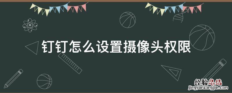 钉钉开启摄像头权限 钉钉怎么设置摄像头权限