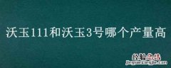 沃玉3号和沃玉558哪个好 沃玉111和沃玉3号哪个产量高