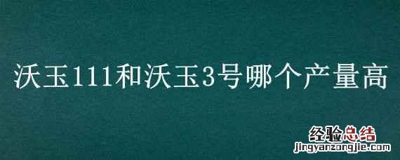 沃玉3号和沃玉558哪个好 沃玉111和沃玉3号哪个产量高