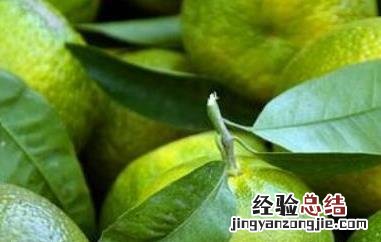 绿橘子的营养价值 橘子的营养价值