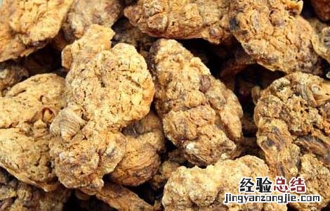 紫河车的功效与作用 紫河车的功效与作用的功能与主治