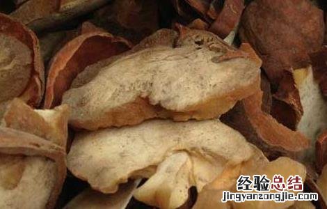中药娑罗子的功效与作用 娑罗子的功效与作用