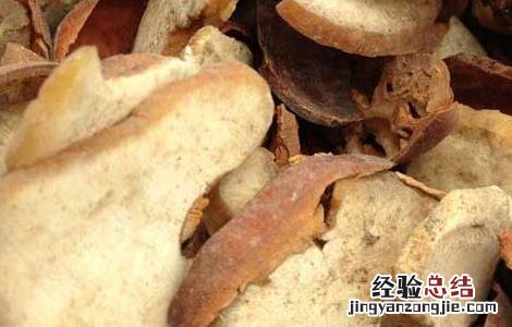 中药娑罗子的功效与作用 娑罗子的功效与作用