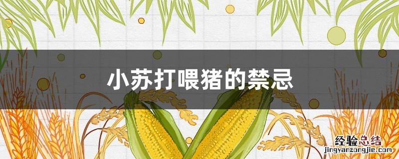 小苏打喂猪的禁忌 小苏打喂猪的禁忌猪出现碱性中毒的症状