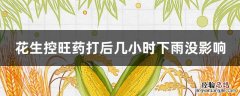 花生控旺药打后几小时下雨没影响 花生控长药打后几小时下雨不重打