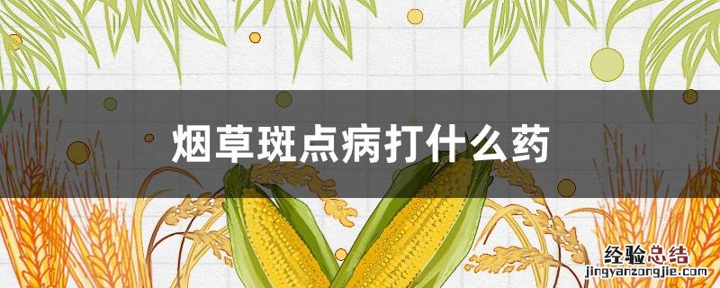 烟草斑点病打什么药 烟草斑点病打什么药效果好