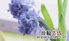 温暖治愈的阳光唯美句子 温暖的阳光治愈系的句子