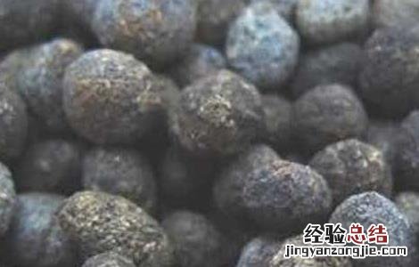 夜明砂的功效与作用 夜明砂的功效与作用及禁忌症
