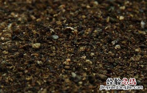 夜明砂的功效与作用 夜明砂的功效与作用及禁忌症