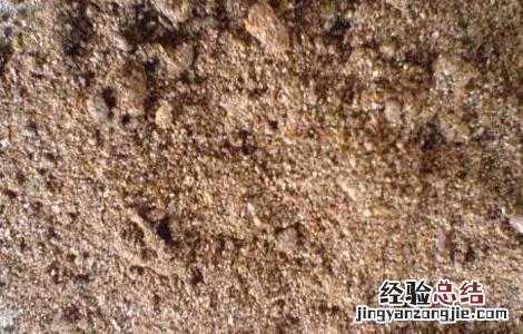 夜明砂的功效与作用 夜明砂的功效与作用及禁忌症