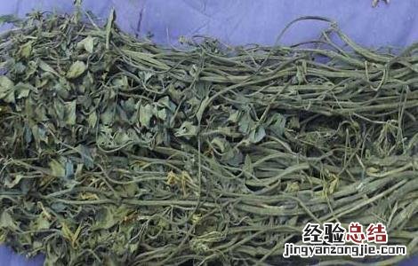 岩黄连的功效与作用 岩黄连的功效与作用,岩黄连的副作用