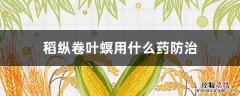 稻纵卷叶螟用什么药防治最好 稻纵卷叶螟用什么药防治