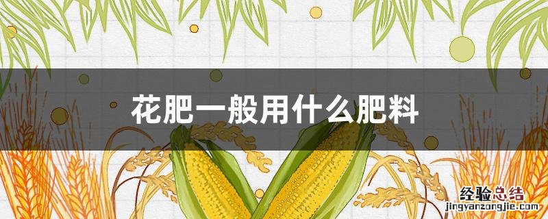 花肥一般用什么肥料 花肥一般用什么肥料啊
