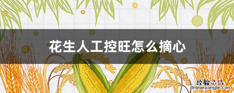 花生人工控旺怎么摘心 花生如何人工控旺