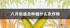 八月份适合种植什么农作物图片 八月份适合种植什么农作物