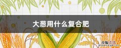 大葱用什么化肥 大葱用什么复合肥