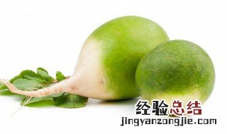 冬天吃白萝卜好还是绿萝卜好 冬天吃白萝卜还是胡萝卜好