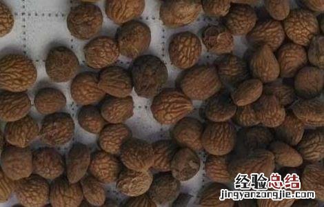 蕤仁的功效与作用,蕤仁的副作用 蕤仁的功效与作用