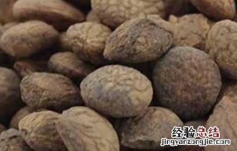 蕤仁的功效与作用,蕤仁的副作用 蕤仁的功效与作用