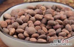 蕤仁的功效与作用,蕤仁的副作用 蕤仁的功效与作用