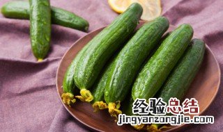 韩式黄瓜泡菜做法 韩式黄瓜泡菜怎么做