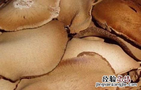橘红的功效与作用和适用人群 橘红的功效与作用