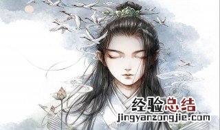 苏纪是哪部小说的人物 苏纪的小说简介