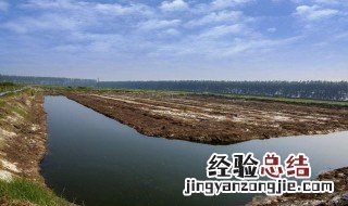 小龙虾养殖池塘里的青苔怎么清除 冬季小龙虾塘青苔要清除吗