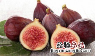 无花果煲猪腱怎么做才好吃 无花果煲猪腱怎么做
