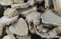 莪术的功效与作用 莪术的功效与作用图片
