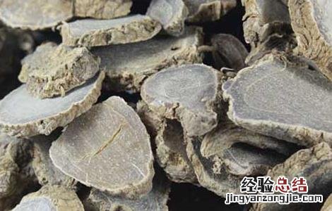 莪术的功效与作用 莪术的功效与作用图片