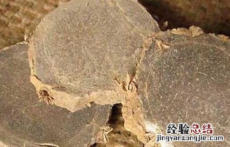 莪术的功效与作用 莪术的功效与作用图片