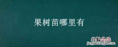 果树苗哪里有大的 果树苗哪里有