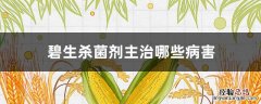 碧生杀菌剂主治哪些病害 碧生治疗那些作物的病害