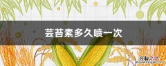 芸苔素多久喷一次 玉米芸苔素多久喷一次