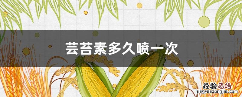 芸苔素多久喷一次 玉米芸苔素多久喷一次