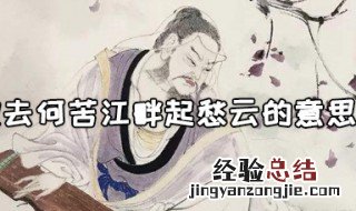 来欢去何苦江畔起愁云表达诗人什么心情 来欢去何苦江畔起愁云的意思