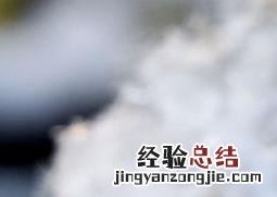 腊梅花的功效与作用及食用方法 腊梅花的功效作用和营养价值