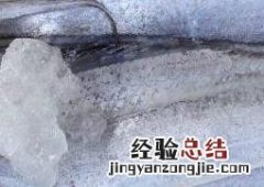 刀鱼和带鱼的区别 渤海刀鱼和带鱼的区别