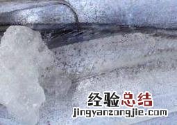 刀鱼和带鱼的区别 渤海刀鱼和带鱼的区别