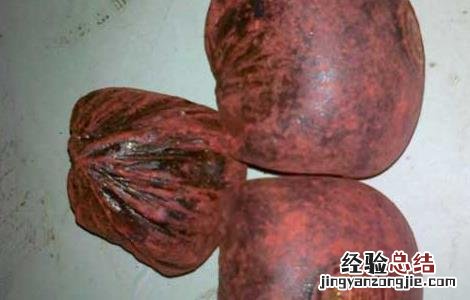 血竭的功效与作用图片 血竭的功效与作用