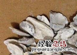 生牡蛎的功效与作用及药用价值 生牡蛎的功效与作用