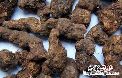 香附的功效与作用 香附的功效与作用图片