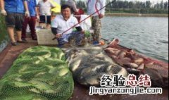 下鱼笼诱鱼方法 下于笼诱鱼的两种方法详解