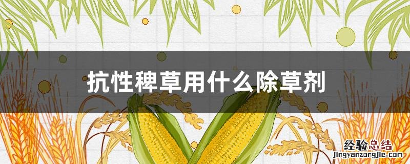 防治稗草的农药 抗性稗草用什么除草剂