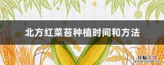 北方菜苔的种植时间与方法 北方红菜苔种植时间和方法