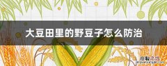 大豆田里的野豆子怎么防治 大豆田里的野豆子怎么防治虫害