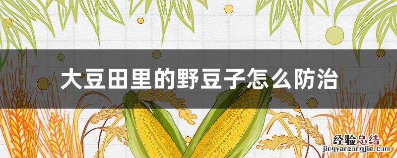 大豆田里的野豆子怎么防治 大豆田里的野豆子怎么防治虫害
