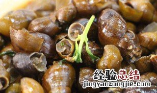香螺怎么煮才好吃 香螺怎么煮好吃
