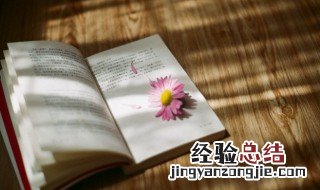 喧嚣的近义词是什么 聚拢的近义词是什么